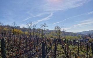 🏡 Teren intravilan 1308 mp Rediu | 9 min (5.8km) Copou / 9 min (5.8km) Pacurari - Poză 5