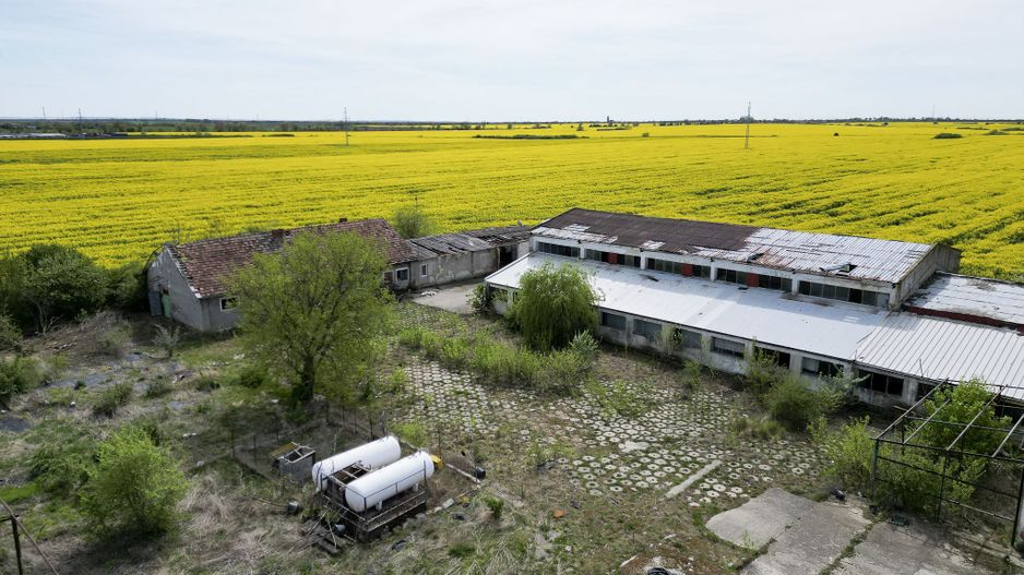 Hală industrială - Poză 4