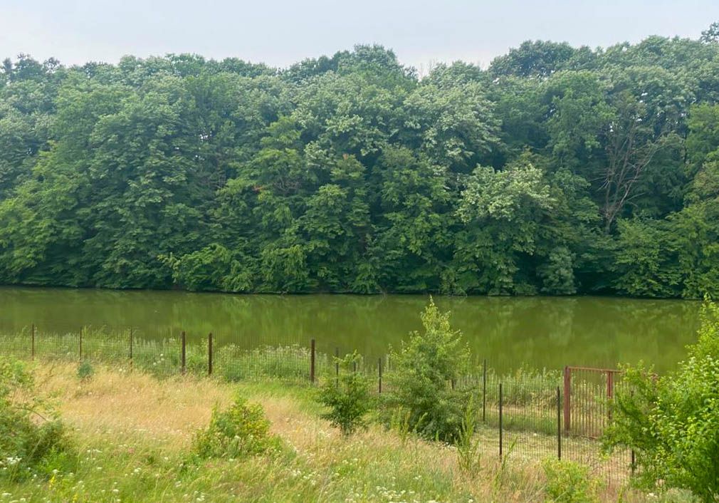 Teren Intravilan de vanzare 3778 mp Branesti Strada Violetelor - Poză 10