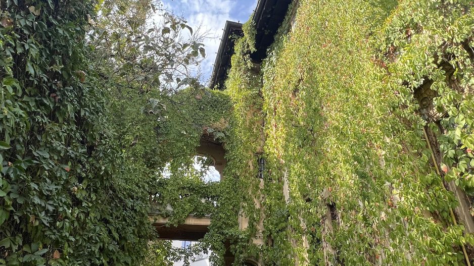 VILA INDIVIDUALA CISMIGIU | INTR. TEMISANA - Poză 14