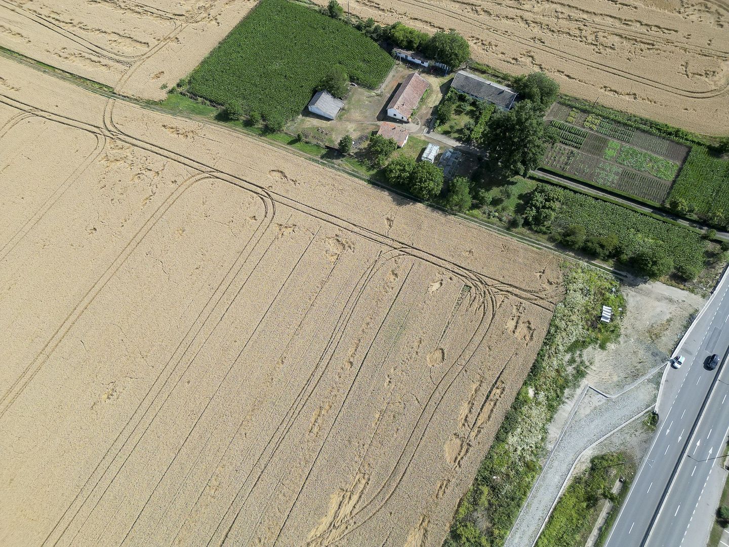 Teren 7653mp cu PUZ aprobat DN Arad Oradea - Poză 2