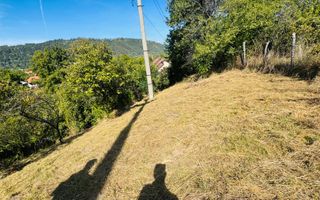 TEREN INTRAVILAN 3234 MP LEREȘTI VOINEȘTI ARGEȘ - Poză 26