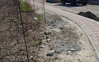 Bragadiru Penny Plevnei