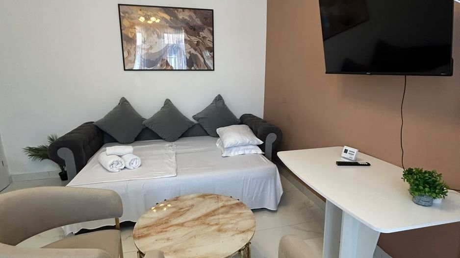 APARTAMENT 2 CAMERE INCHIRIAT  PARCUL CAROL - TINERETULUI - Poză 5