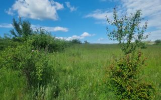 Teren Extravilan de Vânzare – 2.500 mp | Hamba - Poză 3