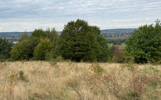 Teren de vânzare în Putna | 6.400 mp | 56 m front stradal - Poză 1