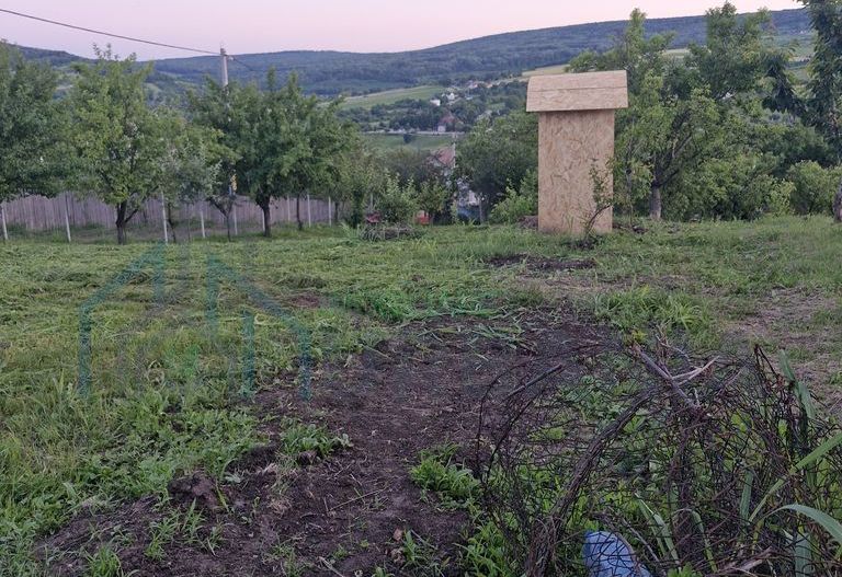 Teren intravilan de vanzare, Chicerea, 740 mp, strada Canarului, Tomesti - Poză 3