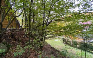 Casa de vacanta, in zona linistita, Firiza - Poză 19