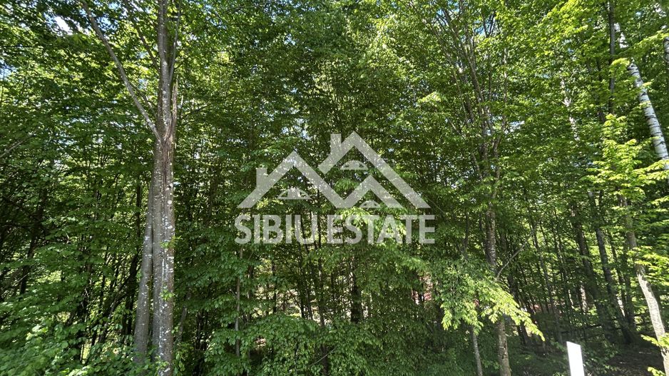 Cabană Premium în Porumbacu de Sus, Oportunitate Investiție / AirBnb - Poză 3