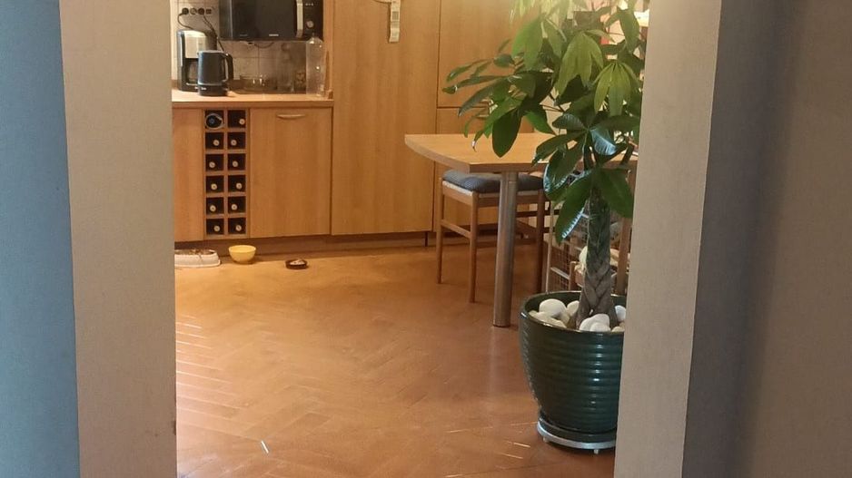 Apartament 3 camere Panduri 13 Septembrie - Poză 3