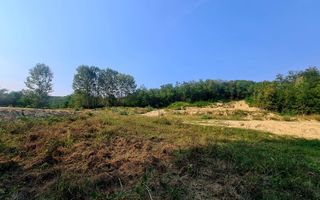 Teren intravilan de vanzare - Bujoreni - Poză 7