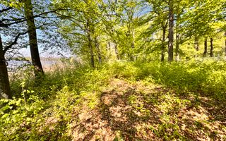 TEREN 7000 MP| DESCHIDERE 40 ML | INTRAVILAN-PADURE | POT 5% | TEREN UNIC | - Poză 5