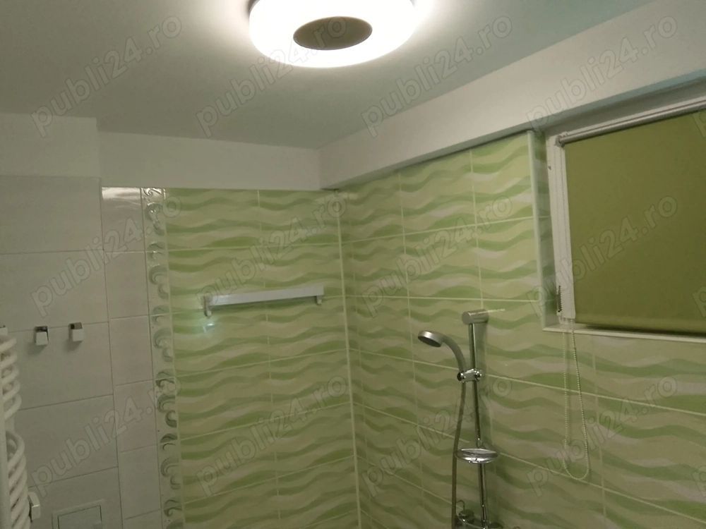 Închiriere apartament două camere Bvd. Dimitrie Cantemir, Sector 4, București - Poză 9