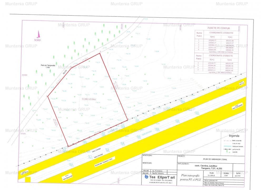 CERNICA - Km.19 - A2 cu pozitie exceptionala, vanzare 3.130 mp. teren in intravilan - Poză 3