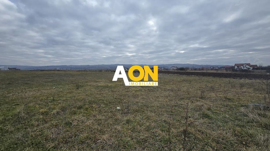 Teren Intravilan 10.000MP Zona Partos - Poză 2