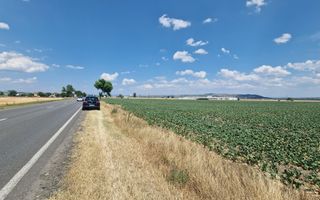 Teren agricol la sosea, pretabil si ptr constructii industriale - Poză 7