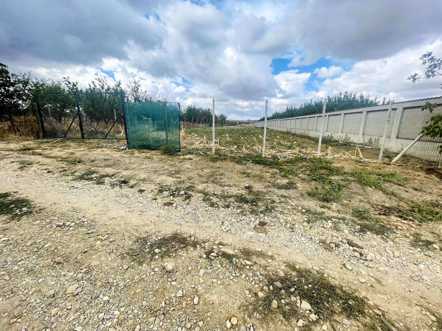 Teren intravilan de 2200 mp în Paleu – Front stradal 18 ml - Poză 1