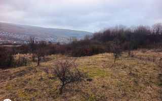 Teren de vânzare intravilan 8500 mp Chinteni Cluj oportunitate investitie - Poză 3