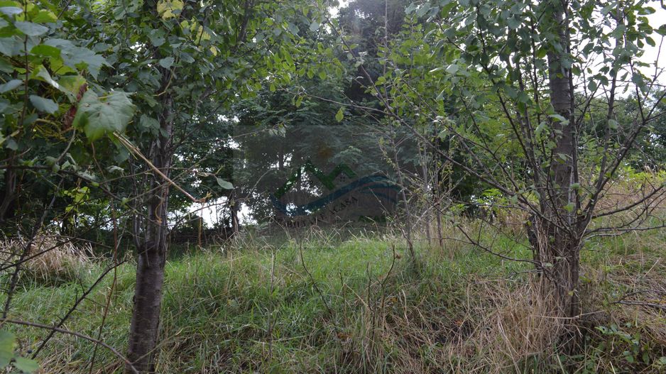 Casă de vânzare în Sfântu Ilie și teren 2000 mp - Poză 46