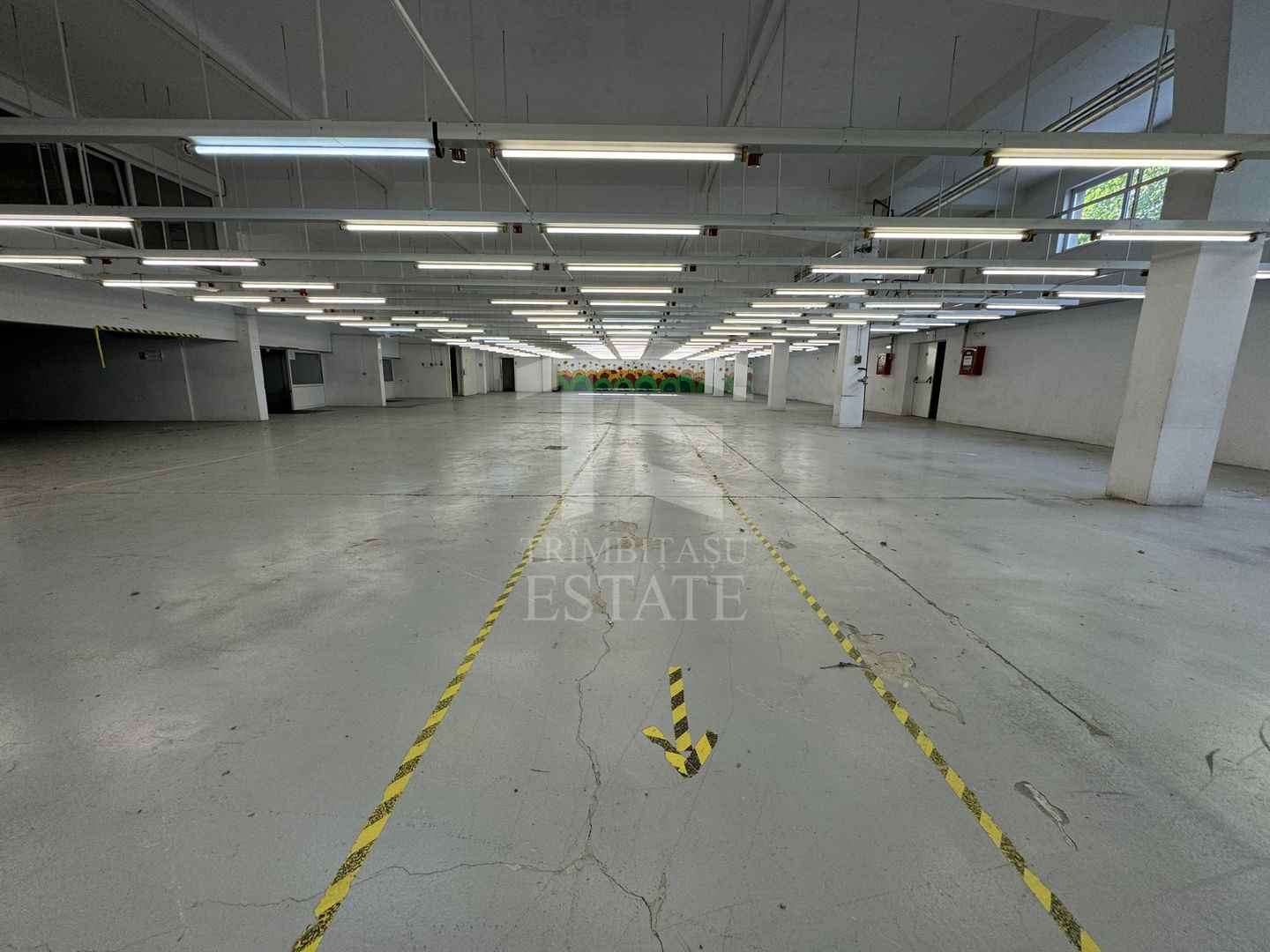 Hala productie P+1 si apartament de serviciu Navodari - c-tie beton - Poză 6