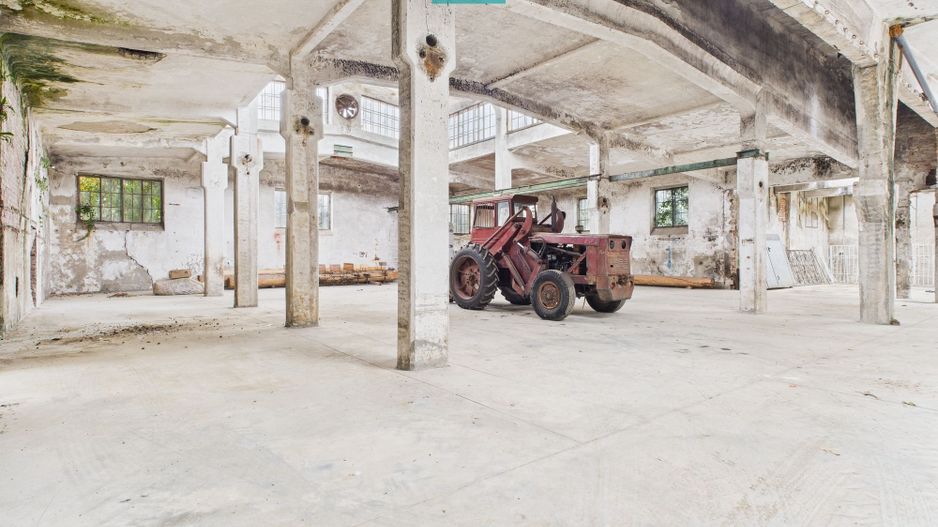 Hală de depozitare 200 mp în Periam - Poză 2