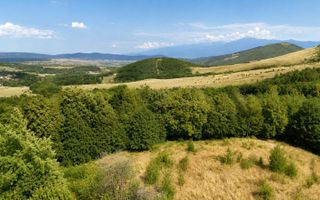 Teren intravilan 3000mp, Regim P+1+M, Sibiu, Tocile - Sadu - Poză 6