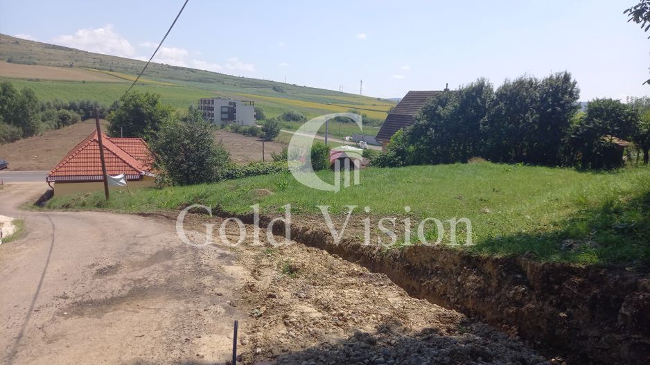 Teren Intravilan 1175 mp in Unirii str.Voinicenilor - Poză 1