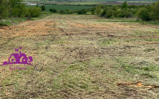 Teren extravilan  zona Episcopia - Poză 3