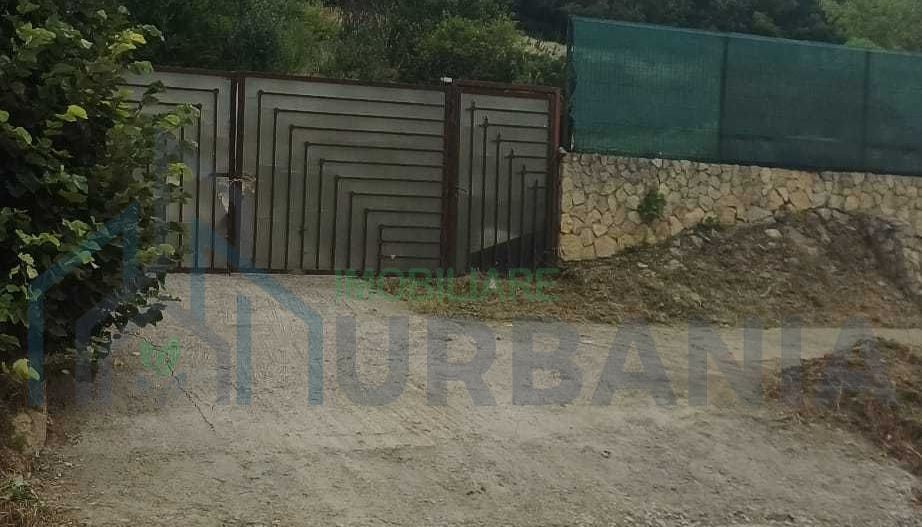 Teren de vanzare, Schitu Duca, 2850 mp, cu fundatie, livada si padure inclusa - Poză 1