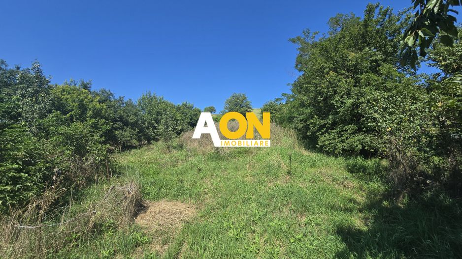 Comision 0%! Casa 3 camere Gura Ariesului, 1500mp Teren - Poză 11