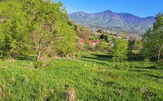 Teren extravilan de vanzare, Bistrita Bargaului- 10 minute de Colibita - Poză 9