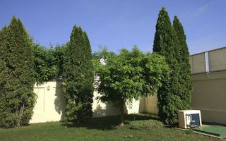 Villa for rent | 10 rooms | Pipera - Poză 2