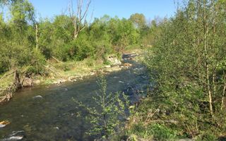 Teren de vanzare în reprezentare exclusivă, situat pe Valea Avrigului! - Poză 9