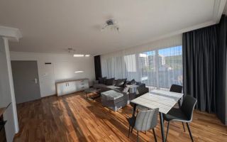 2 camere open space, Premium, Sopor, Profi, Iulius Mall, Gheorgheni - Poză 2