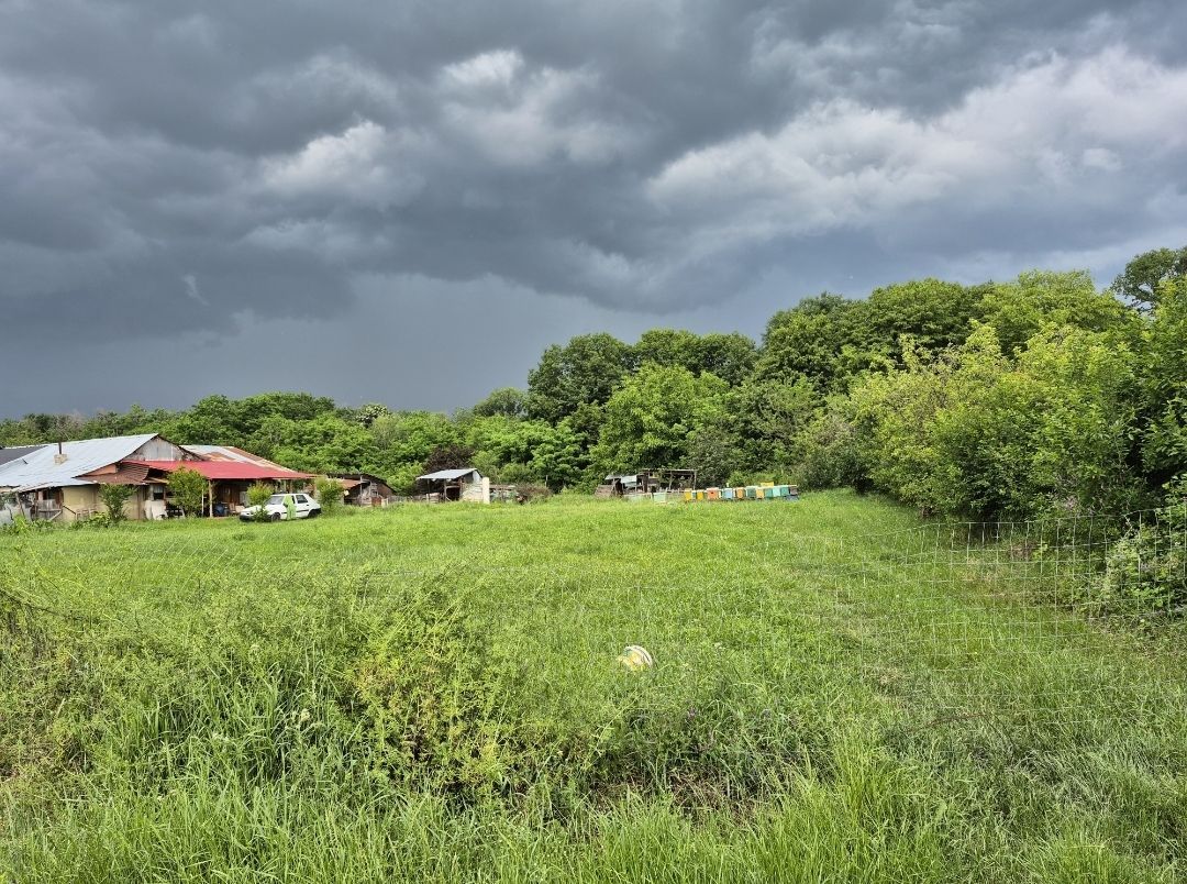 Teren intravilan langa pădure 1260 mp , deschidere 20 ml Prahova -Misl - Poză 2