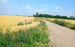 De vanzare teren extravilan valea ursului - Poză 4