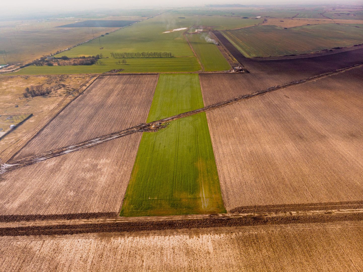 Teren în zona industrială Sagului - Poză 10