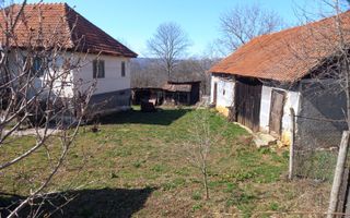 Două case de vânzare – Cerisor – teren generos 6996 mp - Poză 11