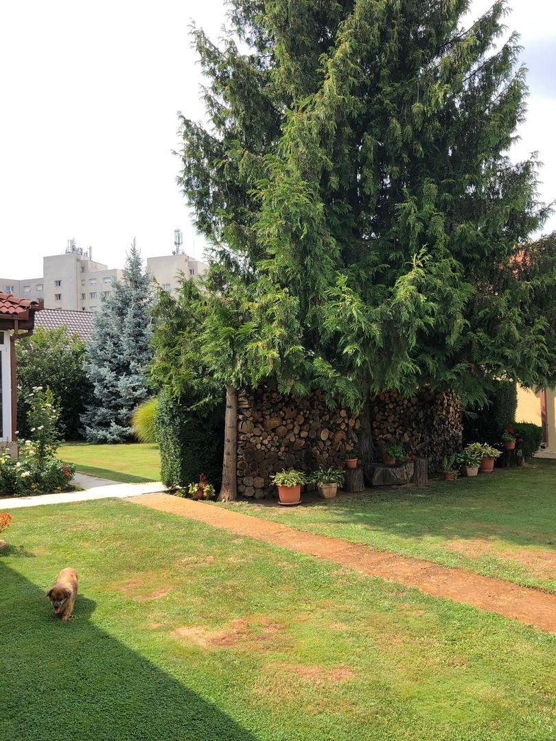 BRASADAS vinde casa cu 7 camere si teren 1100mp in zona Burdea. - Poză 19