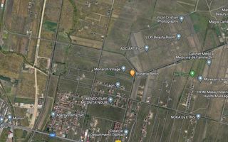 TEREN MOSNITA NOUA 659 MP - Poză 1