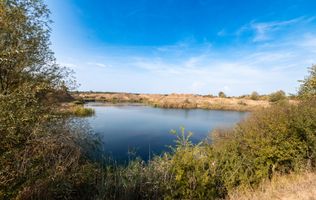 Investiție unică, 10 ha teren cu luciu de apă, ideal pentru turism și agrement!