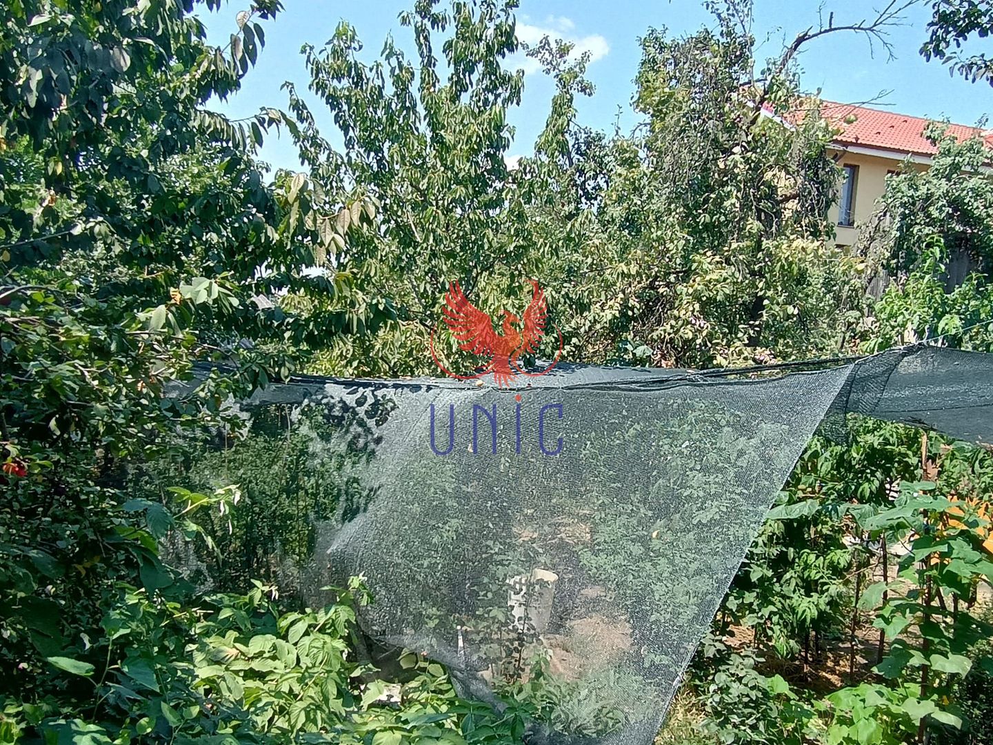 Teren 980 mp, 2 deschiderizona Drumul Muntenilor pret excelent - Poză 12