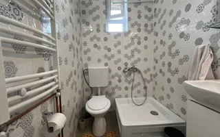 Vila individuala renovata complet | 6 camere | 500 mp teren | Str Jean Monnet - Poză 20