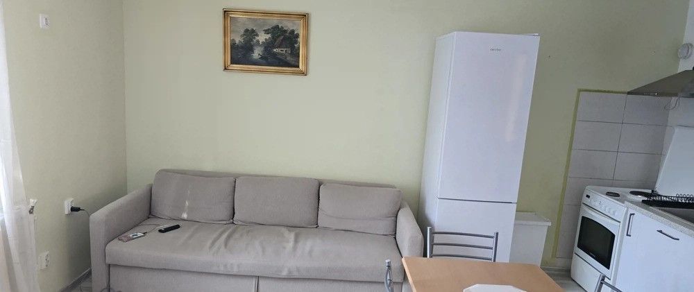 Vila cu 3 camere, zona Baba Novac - Poză 3