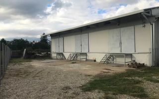 Hala industriala de vanzare - Poză 5