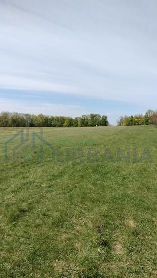 Teren extravilan 7.200 mp, Bordea - Grajduri, oportunitate investiție - Poză 6
