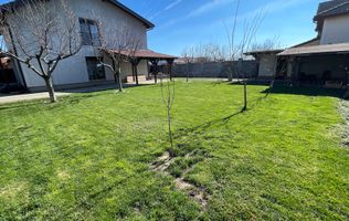 Duplex in Dumbravita cu teren generos