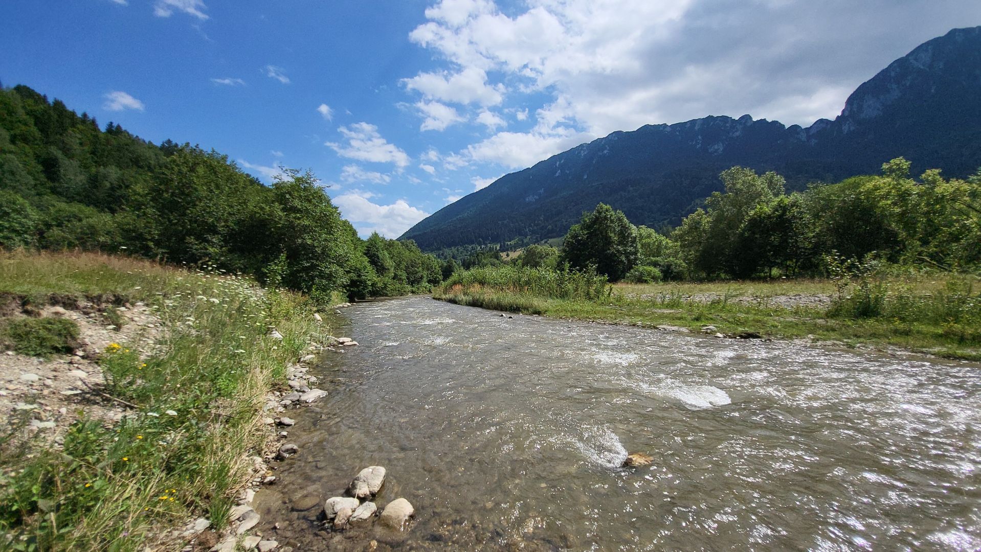 Plaiul Foii, teren pretabil casă de vacanță, pensiune, comision 0% - Poză 12