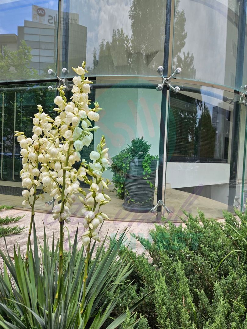 Showroom / Spațiu 145 mp, fațadă sticlă | Ultracentral – Unirii - Poză 5