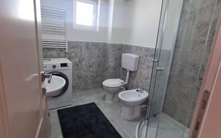 Apartament 1 camera Bucium-300Euro - Poză 9